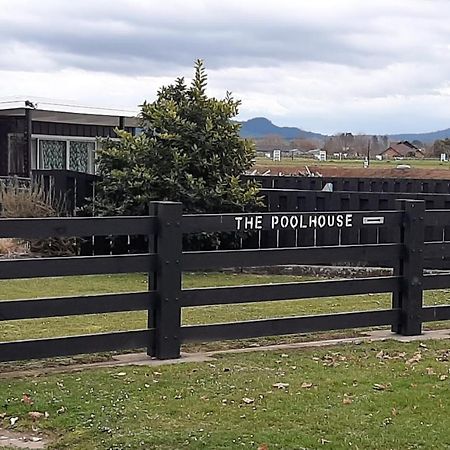 Bed and Breakfast The Poolhouse Matamata Exterior foto